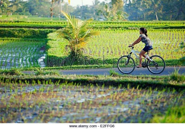 Villa Mandala Jasri Ngoại thất bức ảnh